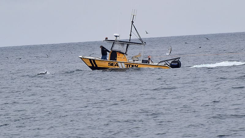 A tug takes a line from a disabled motor yacht in open water as crew work at the bow.